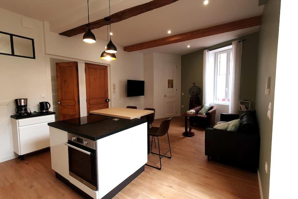 Classe 4 Etoiles - Cybele - Centre Ville 2 Chambres, Cour Privative Et Garage Vienne  Extérieur photo